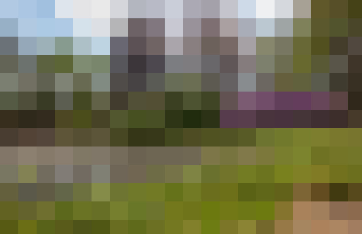 Image 56