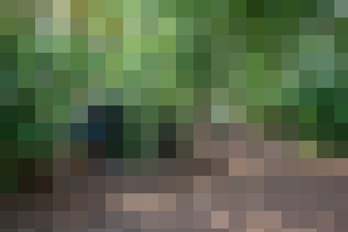 Image 66