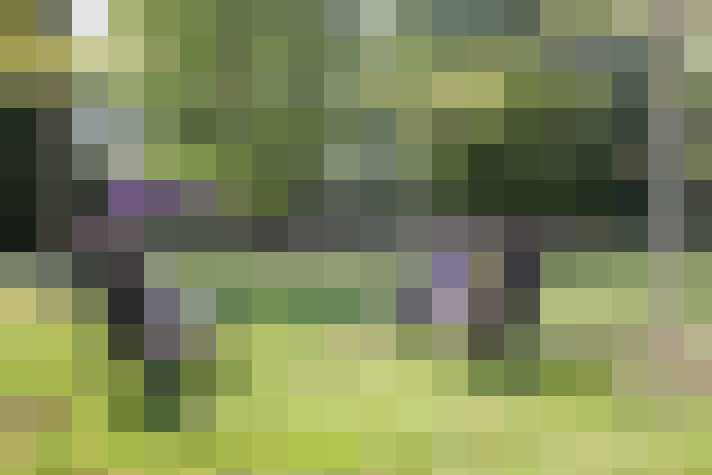 Image 33