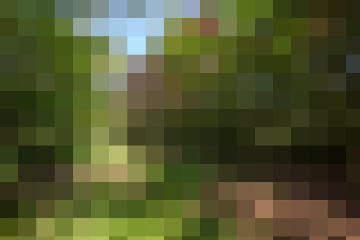 Image 64