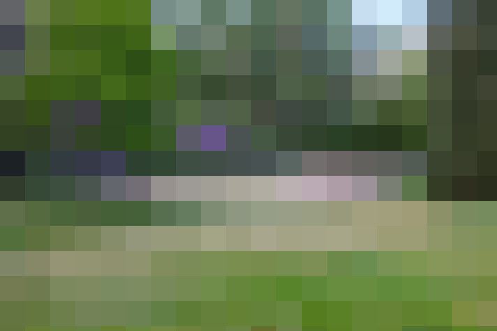 Image 38