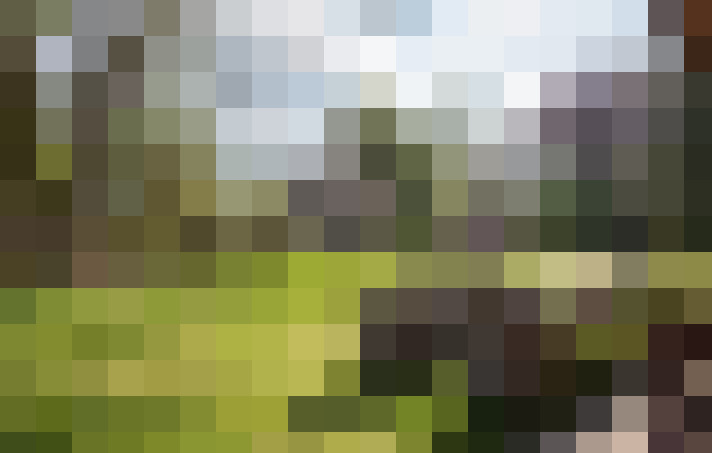 Image 29