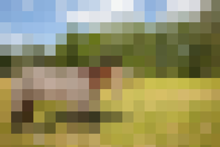 Image 58