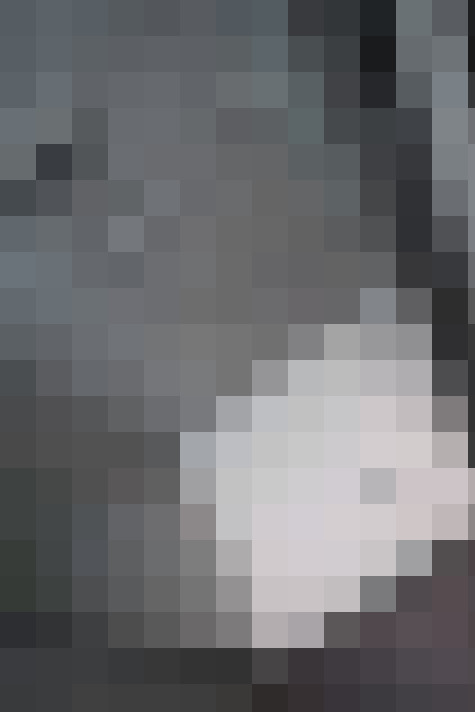 / #19