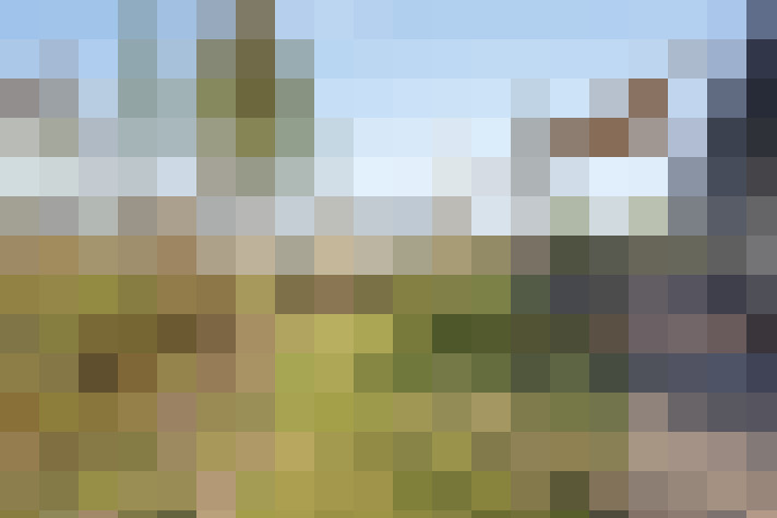 Image 13