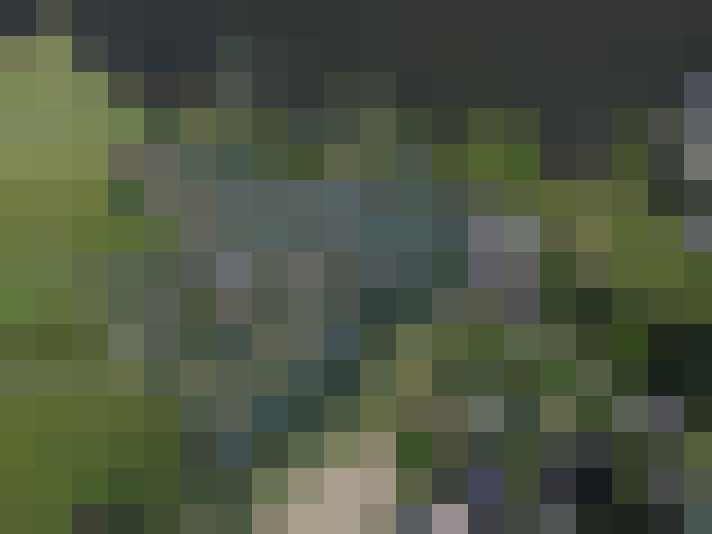 Image 29