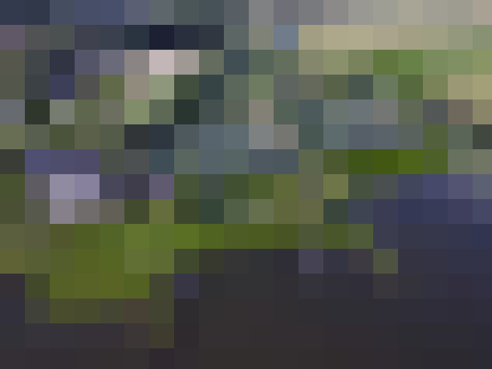 Image 25