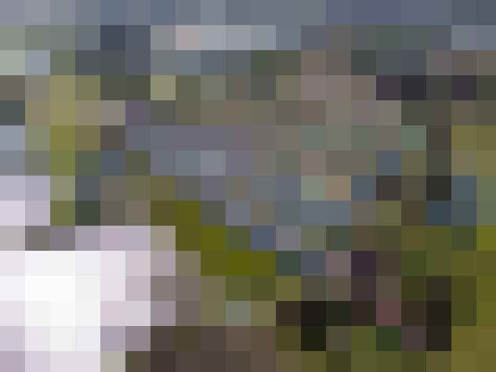 Image 27