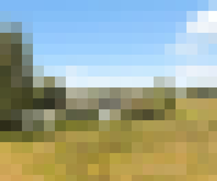 Image 20