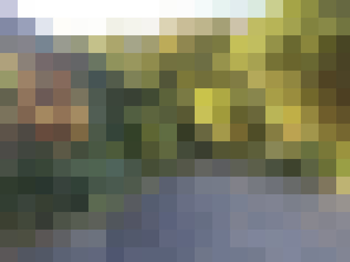 Image 34