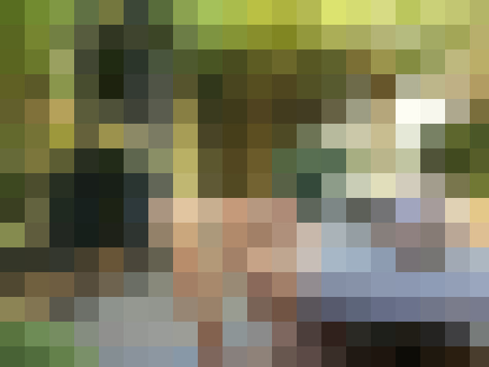 Image 36