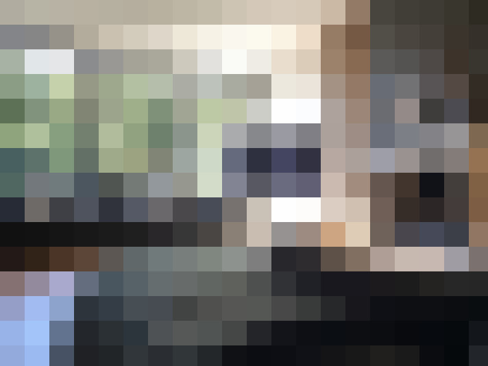 Image 31