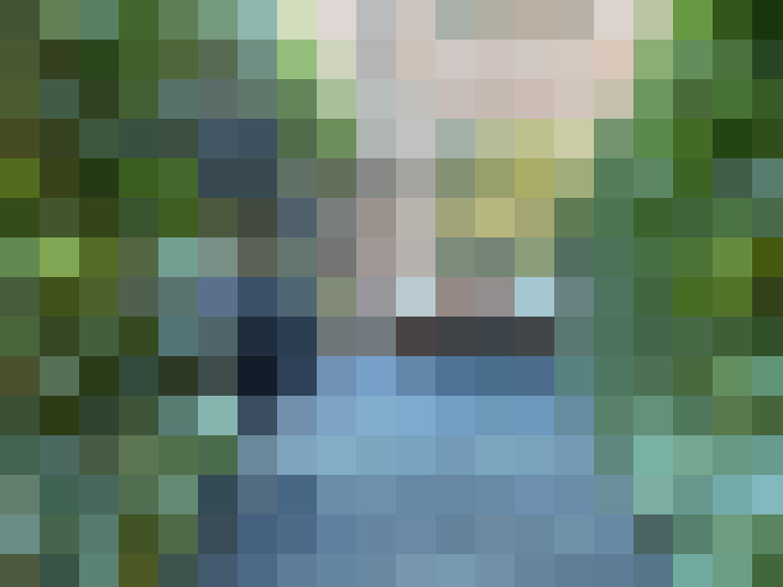 Image 23