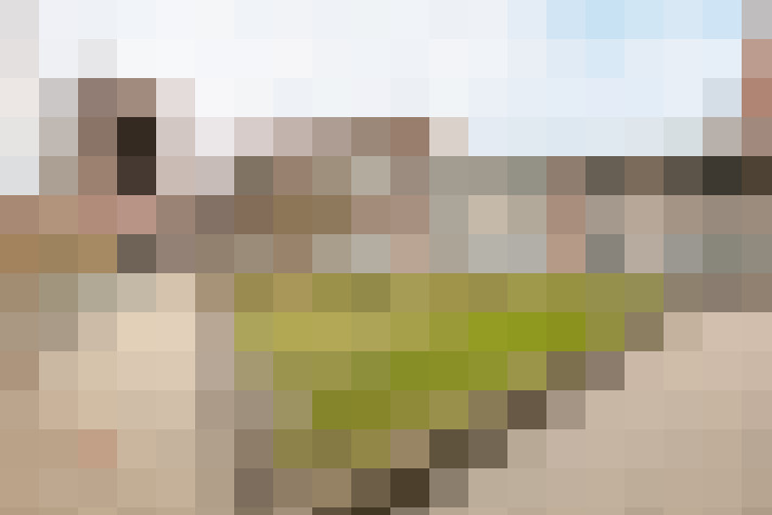  / #8
