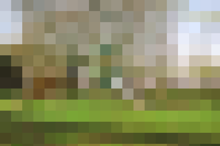  / #16