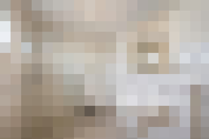 Image 50