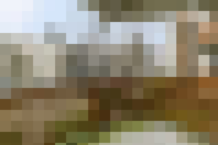  / #15