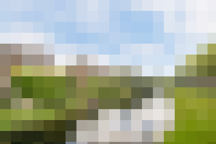 Image 13