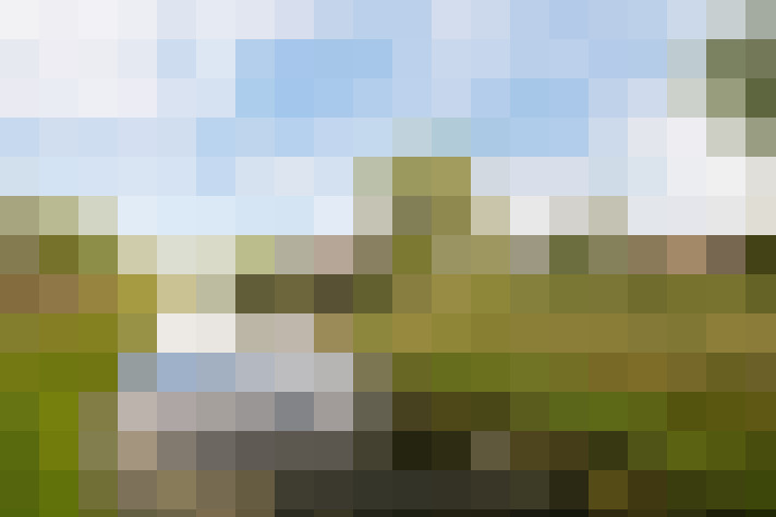 Image 14