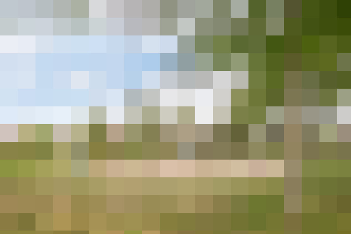 Image 16