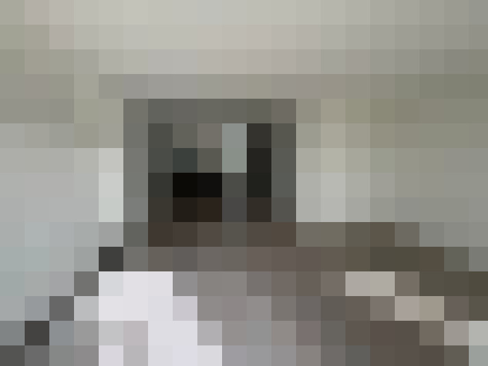  / #8