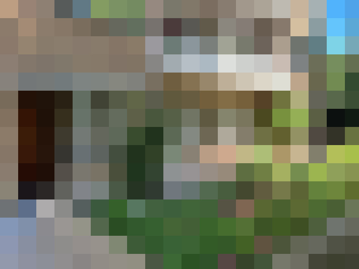 Image 32