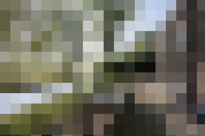 Image 31