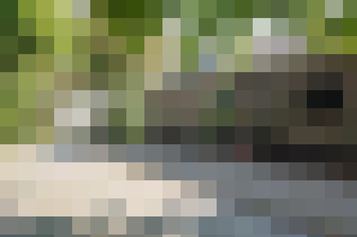 Image 36