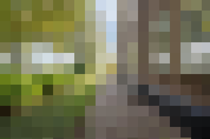 Image 30