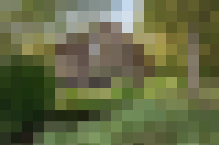 Image 37