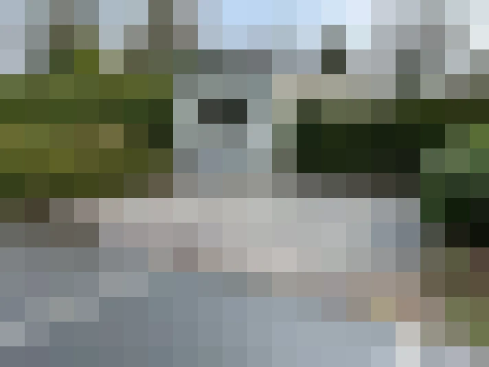 Image 30