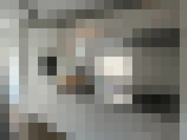 Image 18