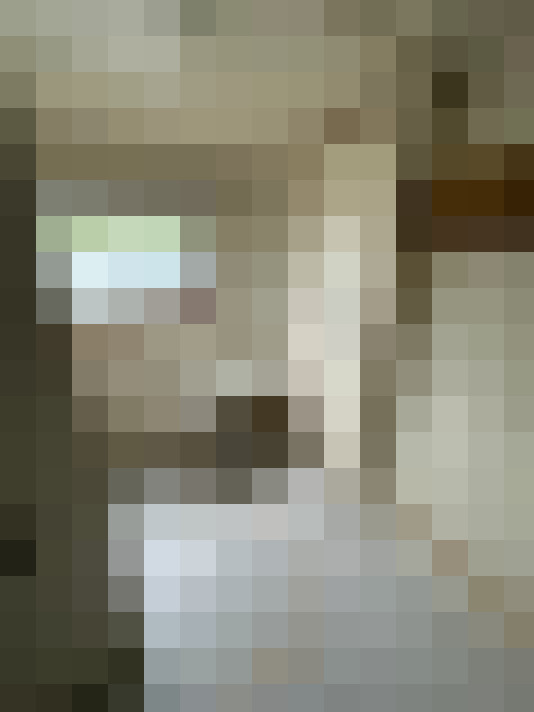  / #19