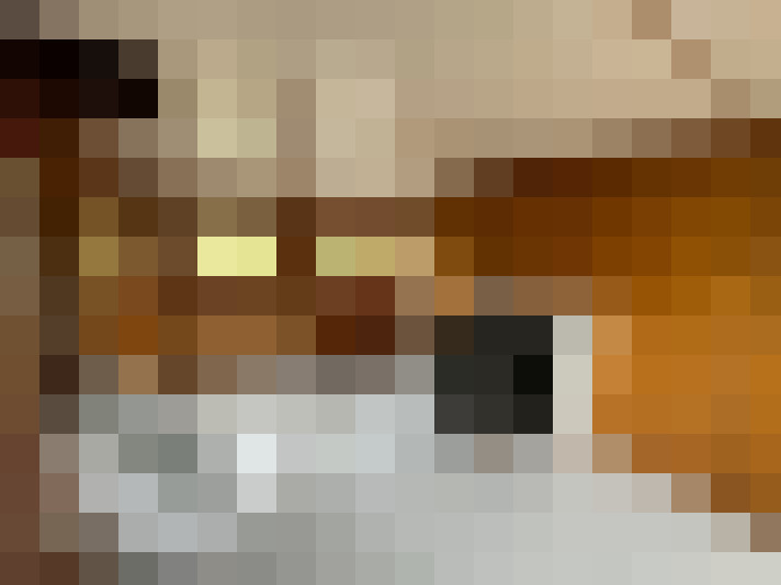  / #7