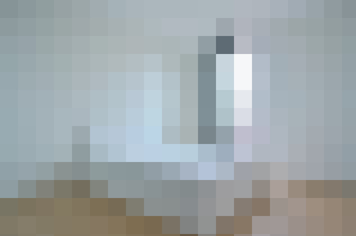  / #21