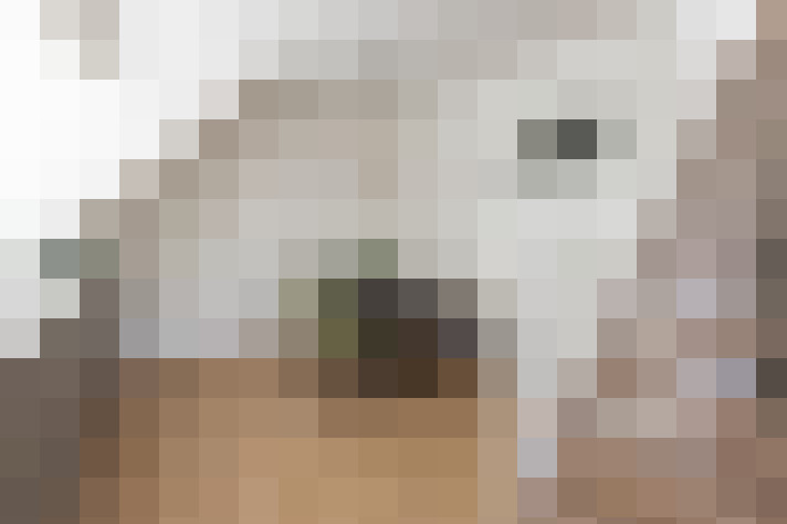  / #19