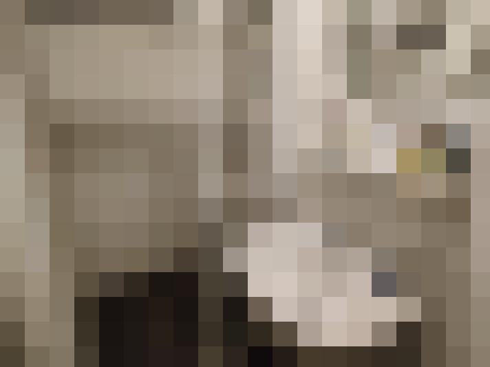  / #12