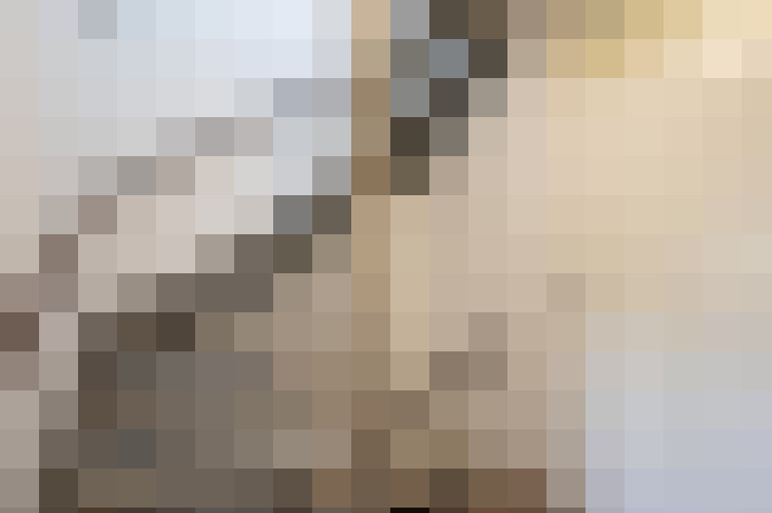  / #16