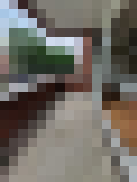  / #15