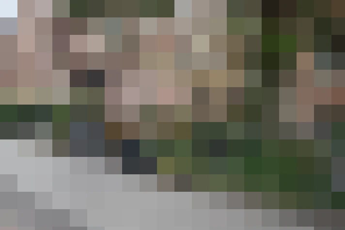 Image 29