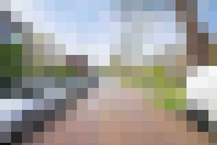 Image 53