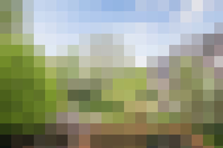 Image 40