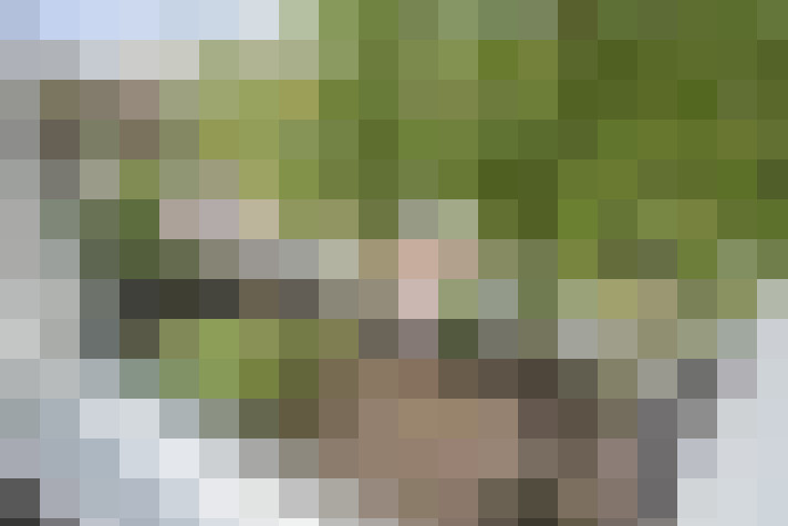 Image 38