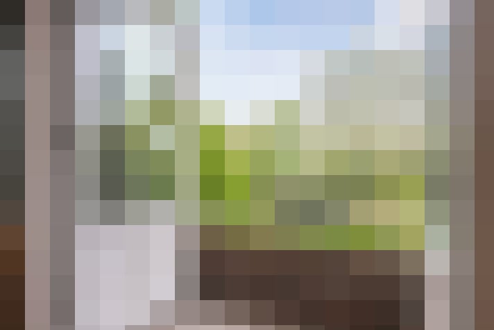 Image 39