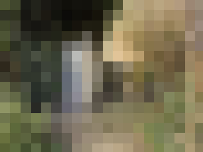 Image 21