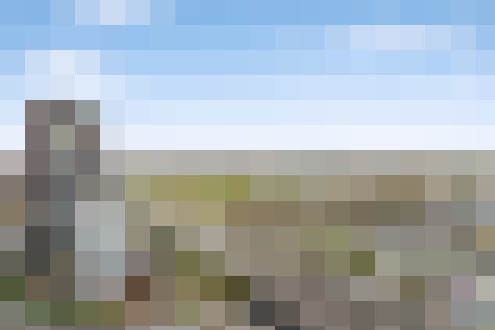 Image 23