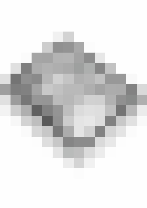 Image 28