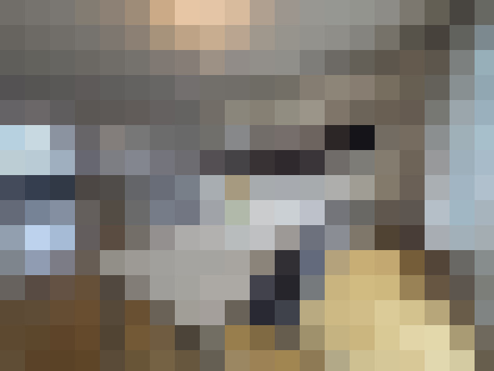  / #17