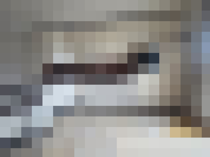  / #18