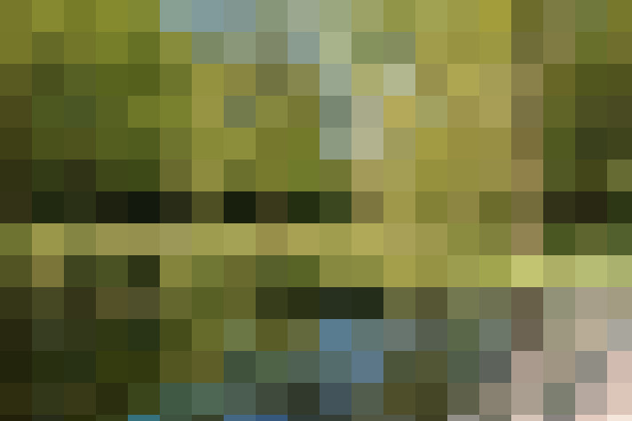 Image 26